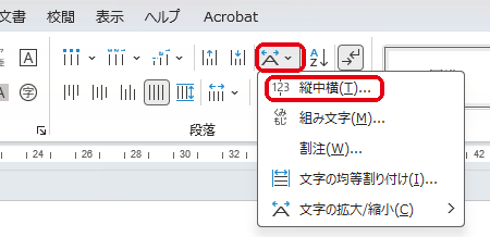 ホームタブの「拡張書式」メニューから「縦中横」を選択